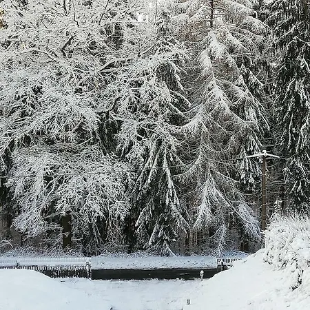 Oberpfannenstiel Lejlighed Bernsbach